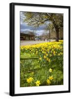 Visitors Walking Along the Serpentine with Daffodils in the Foreground, Hyde Park, London-Charlie Harding-Framed Photographic Print