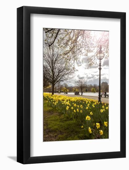 Visitors Walking Along the Serpentine with Daffodils in the Foreground, Hyde Park, London-Charlie Harding-Framed Photographic Print