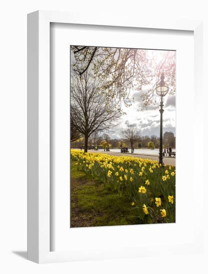 Visitors Walking Along the Serpentine with Daffodils in the Foreground, Hyde Park, London-Charlie Harding-Framed Photographic Print