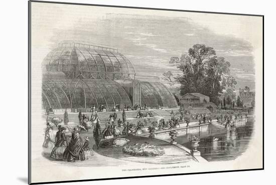 Visitors Wander in the Grounds of Kew Gardens Outside the Palm House-null-Mounted Art Print