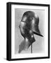 Visored Sallet and Bevor, C1480-null-Framed Giclee Print