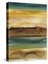 Vista Abstract V-Ethan Harper-Stretched Canvas