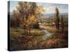 Vista de Verona-Hulsey-Stretched Canvas