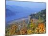 Vista House, Crown Point, Columbia river Gorge, Oregon, USA-Janis Miglavs-Mounted Photographic Print