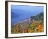 Vista House, Crown Point, Columbia river Gorge, Oregon, USA-Janis Miglavs-Framed Photographic Print