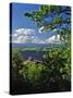 Vista House State Park Overlook-Steve Terrill-Stretched Canvas