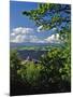 Vista House State Park Overlook-Steve Terrill-Mounted Photographic Print