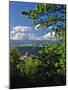 Vista House State Park Overlook-Steve Terrill-Mounted Photographic Print