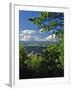 Vista House State Park Overlook-Steve Terrill-Framed Photographic Print