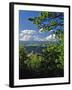 Vista House State Park Overlook-Steve Terrill-Framed Photographic Print