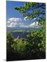 Vista House State Park Overlook-Steve Terrill-Mounted Photographic Print