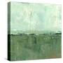 Vista Impression I-Ethan Harper-Stretched Canvas