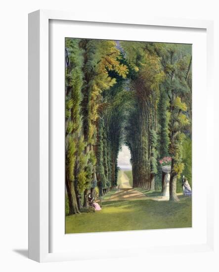 Vista in the Gardens of Teddesley, from "Gardens of England," Published 1857-E. Adveno Brooke-Framed Giclee Print