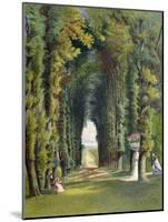 Vista in the Gardens of Teddesley, from "Gardens of England," Published 1857-E. Adveno Brooke-Mounted Giclee Print