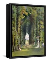Vista in the Gardens of Teddesley, from "Gardens of England," Published 1857-E. Adveno Brooke-Framed Stretched Canvas