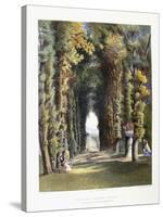 Vista' in the Gardens of Teddesley, Seat of the Right Honorable Lord Hatherton, 1857-E. Adveno Brooke-Stretched Canvas