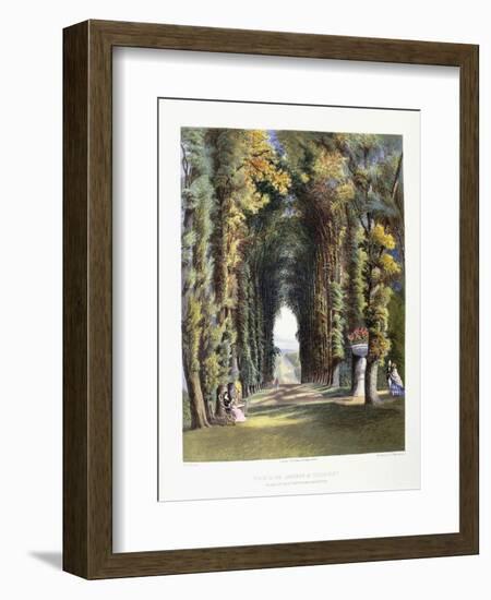 Vista' in the Gardens of Teddesley, Seat of the Right Honorable Lord Hatherton, 1857-E. Adveno Brooke-Framed Giclee Print