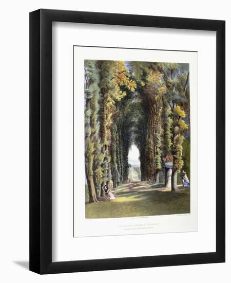 Vista' in the Gardens of Teddesley, Seat of the Right Honorable Lord Hatherton, 1857-E. Adveno Brooke-Framed Giclee Print