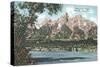 Vista of the Tetons from Snake River-null-Stretched Canvas