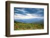 Vista, Shenandoah, Blue Ridge Parkway, Smoky Mountains, USA.-Anna Miller-Framed Photographic Print