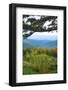 Vista, Shenandoah, Blue Ridge Parkway, Smoky Mountains, USA.-Anna Miller-Framed Photographic Print