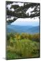 Vista, Shenandoah, Blue Ridge Parkway, Smoky Mountains, USA.-Anna Miller-Mounted Photographic Print