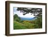 Vista, Shenandoah, Blue Ridge Parkway, Smoky Mountains, USA.-Anna Miller-Framed Photographic Print