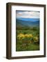 Vista, Shenandoah, Blue Ridge Parkway, Smoky Mountains, USA.-Anna Miller-Framed Photographic Print