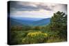 Vista, Shenandoah, Blue Ridge Parkway, Smoky Mountains, USA.-Anna Miller-Stretched Canvas