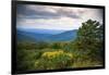 Vista, Shenandoah, Blue Ridge Parkway, Smoky Mountains, USA.-Anna Miller-Framed Photographic Print