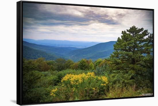 Vista, Shenandoah, Blue Ridge Parkway, Smoky Mountains, USA.-Anna Miller-Framed Stretched Canvas