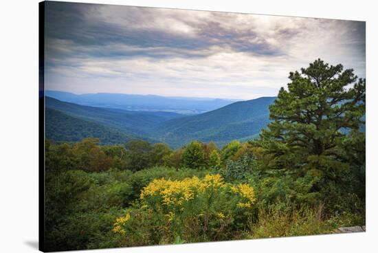 Vista, Shenandoah, Blue Ridge Parkway, Smoky Mountains, USA.-Anna Miller-Stretched Canvas