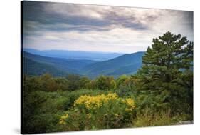 Vista, Shenandoah, Blue Ridge Parkway, Smoky Mountains, USA.-Anna Miller-Stretched Canvas