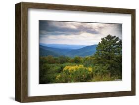 Vista, Shenandoah, Blue Ridge Parkway, Smoky Mountains, USA.-Anna Miller-Framed Photographic Print