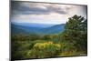 Vista, Shenandoah, Blue Ridge Parkway, Smoky Mountains, USA.-Anna Miller-Mounted Photographic Print