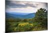 Vista, Shenandoah, Blue Ridge Parkway, Smoky Mountains, USA.-Anna Miller-Mounted Photographic Print