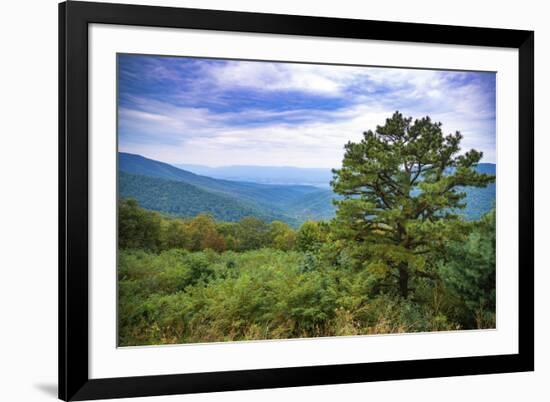 Vista, Shenandoah, Blue Ridge Parkway, Smoky Mountains, USA.-Anna Miller-Framed Photographic Print