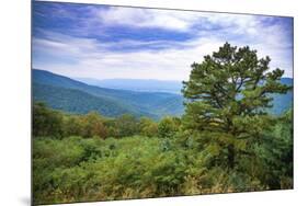 Vista, Shenandoah, Blue Ridge Parkway, Smoky Mountains, USA.-Anna Miller-Mounted Photographic Print