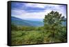 Vista, Shenandoah, Blue Ridge Parkway, Smoky Mountains, USA.-Anna Miller-Framed Stretched Canvas