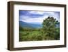 Vista, Shenandoah, Blue Ridge Parkway, Smoky Mountains, USA.-Anna Miller-Framed Photographic Print