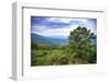 Vista, Shenandoah, Blue Ridge Parkway, Smoky Mountains, USA.-Anna Miller-Framed Photographic Print