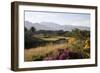 Vista Vallarta Golf Course, Hole 9-Stephen Szurlej-Framed Premium Photographic Print