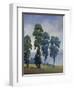 Vista VIew-Tim O'toole-Framed Giclee Print