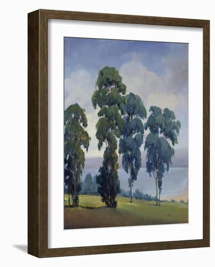 Vista VIew-Tim O'toole-Framed Giclee Print