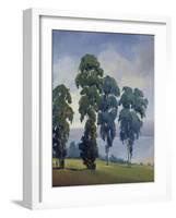 Vista VIew-Tim O'toole-Framed Giclee Print