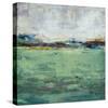 Vista Views-Mark Chandon-Stretched Canvas