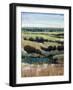 Vista Visions I-Tim O'toole-Framed Giclee Print