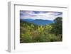 Vista with goldenrod, Shenandoah, Blue Ridge Parkway, Smoky Mountains, USA.-Anna Miller-Framed Photographic Print