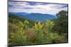 Vista with goldenrod, Shenandoah, Blue Ridge Parkway, Smoky Mountains, USA.-Anna Miller-Mounted Photographic Print