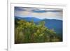 Vista with goldenrod, Shenandoah, Blue Ridge Parkway, Smoky Mountains, USA.-Anna Miller-Framed Photographic Print